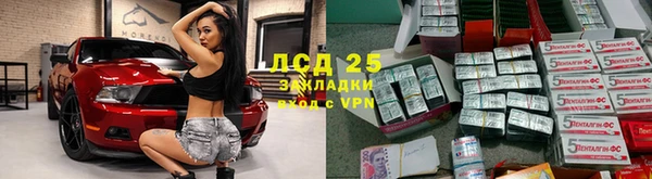 стаф Медногорск