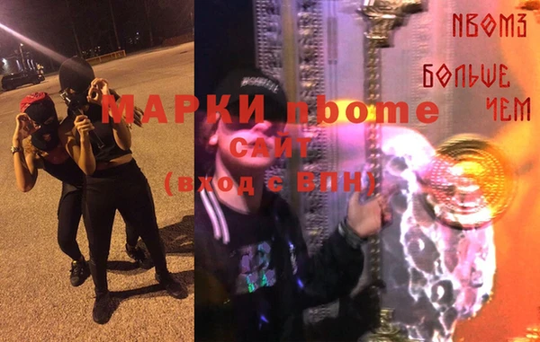 стаф Медногорск
