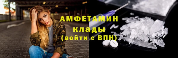 стаф Медногорск