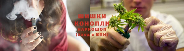 стаф Медногорск