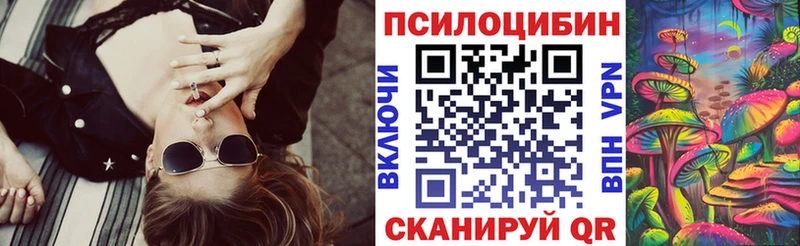 что такое   Кировград  Псилоцибиновые грибы Magic Shrooms 