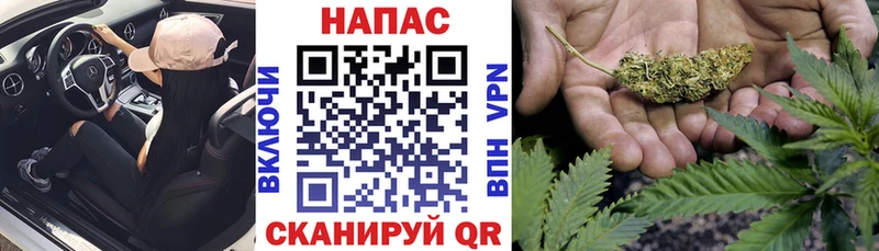 Шишки марихуана конопля Кировград